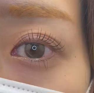 上下まつ毛パーマ 