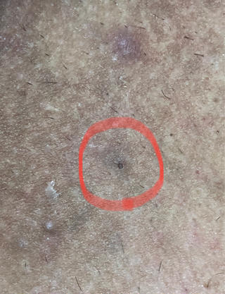 private salon Dea_maris シュガーリング&パーソナルボディケア所属・シミ改善・韓国肌管理 ボディメイク痩身のその他イメージ