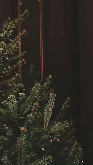 マツエク・マツパ lomlロムル所属・yoshi chikaのマツエク・マツパデザイン