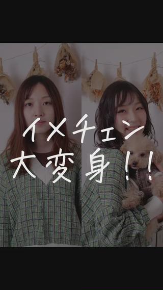 ミディアム カラー パーマ ヘアアレンジ アイブロウ 推し活専用 【派手髪】飯野ゆかりのヘアスタイル