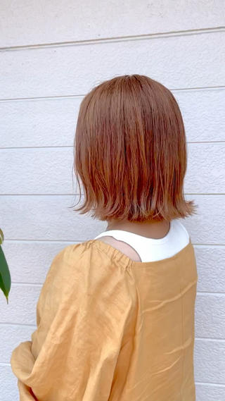 ダブルカラー 
