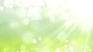 Raj   Pathラージパトゥ所属・ラージ パトゥのエステ・リラクイメージ
