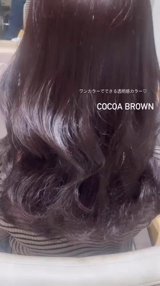 透明感
cocoa brown 