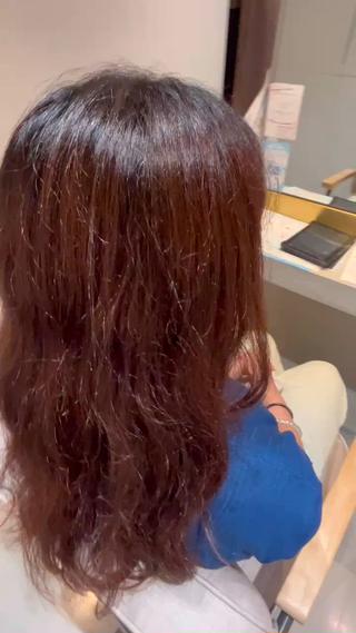 レッドブラウン 