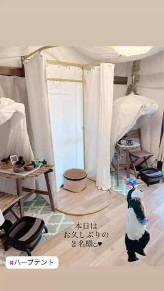ハーブテント 