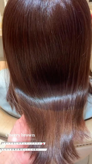 カラー 艶カラー/ボブ /似合わせ/田口愛那のヘアスタイル