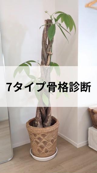 7タイプ骨格診断