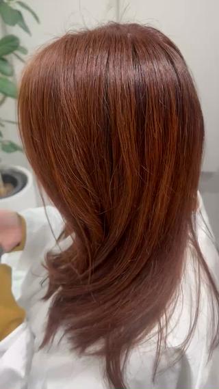 オレンジブラウン
※ハイライト履歴あり 