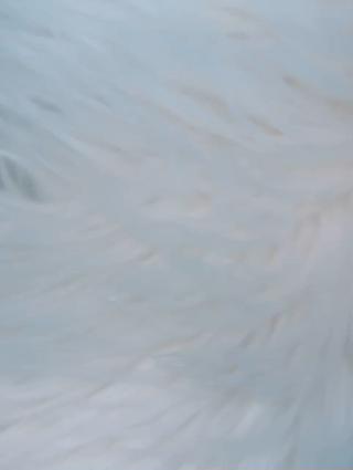 ネイル Bloom Nail Salonのネイルデザイン