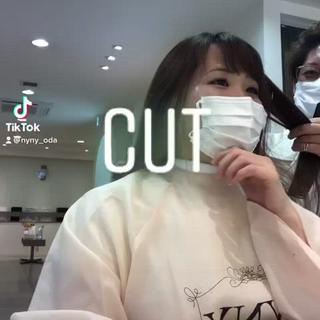 カット動画 
