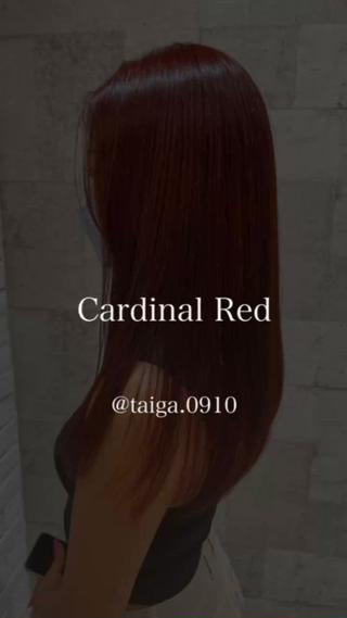 ロング カラー レディースヘア💫 加藤たいが🐯のヘアスタイル