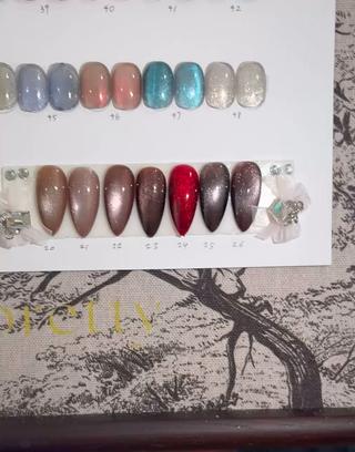 新しいマグネットカラー購入した
秋、冬のおすすめカラーオフ込み4500¥ 