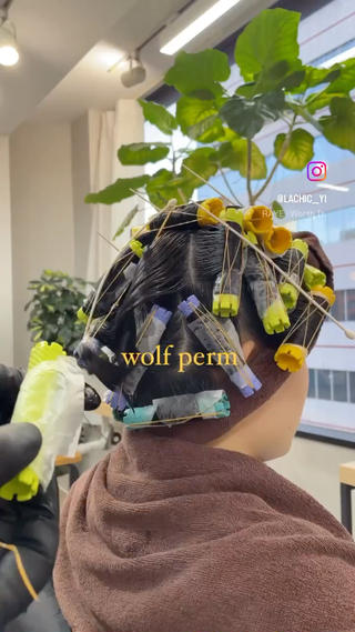 パーマウルフ 