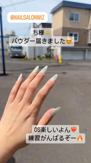 ギャルネイリスト
wizのちい様パウダー　9割在庫あります 