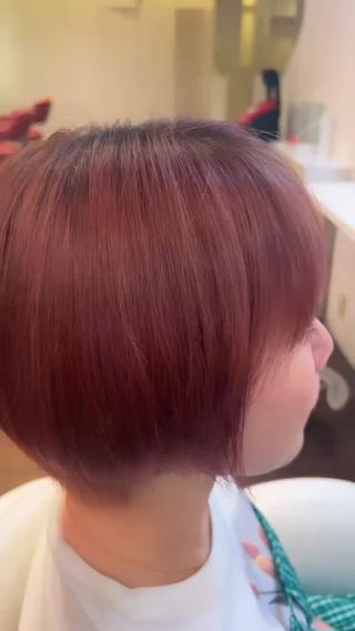 スタッフカラー 
