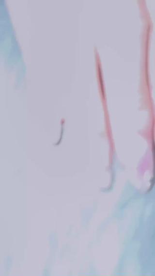 ネイル If Nailのネイルデザイン