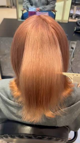 ミディアム カラー ヘアアレンジ 縮毛矯正/カット/ 韓国ヘア/蛯原🍤のヘアスタイル