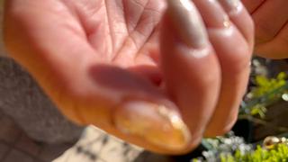 ミディアム HazeGrass NAILのネイルデザイン