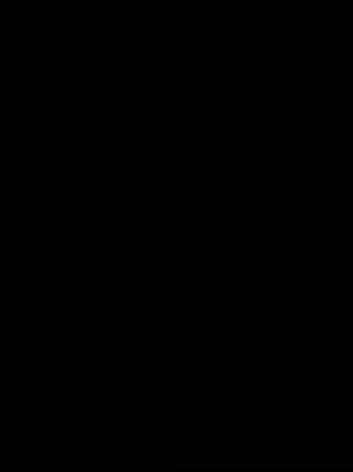 フリンジボブ 