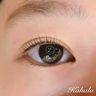 マツエク・マツパ Fujimoto 🦭⸝⋆꙳のマツエク・マツパデザイン