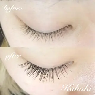 マツエク・マツパ Fujimoto 🦭⸝⋆꙳のマツエク・マツパデザイン