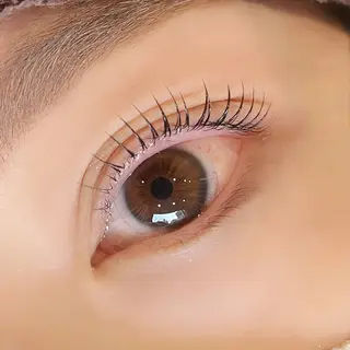 マツエク・マツパ sofa 🛋⸝⸝ urushibaraのマツエク・マツパデザイン