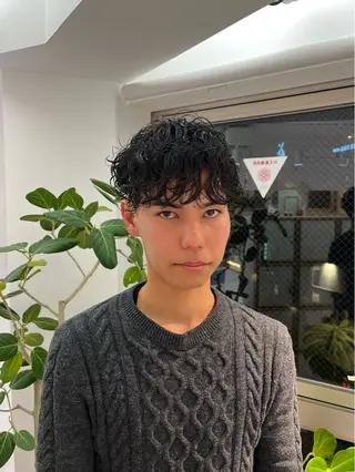 ショート パーマ メンズ 野中里紗/ ベージュカラーのヘアスタイル