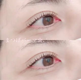 マツエク・マツパ 袈叶 ✨のヘアスタイル