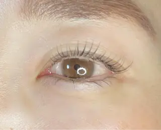 マツエク・マツパ 《eyelash ｉｉｔｅ》森のマツエク・マツパデザイン