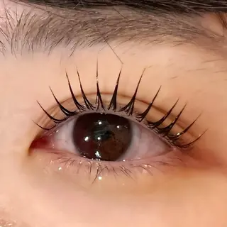 マツエク・マツパ Celeste Venus所属・🧸Celeste Venusのマツエク・マツパデザイン