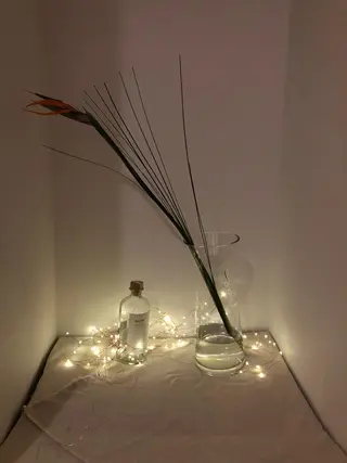 basico  のエステ・リラクイメージ