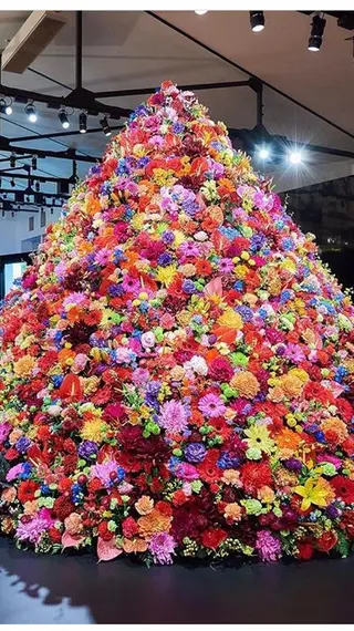 ポーラザビューティー松原店所属・ポーラ松原店 北口のエステ・リラクイメージ