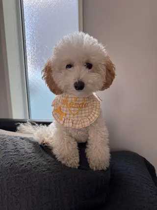 マツエク・マツパ ERINA ♥のネイルデザイン