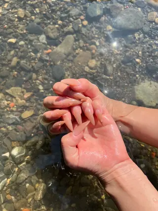 セミロング Lu, ema　nailのネイルデザイン