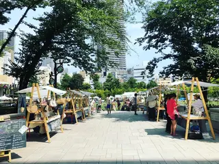 ショート カラー パーマ マツエク・マツパ 髪質改善サロン Liko🌟のヘアスタイル