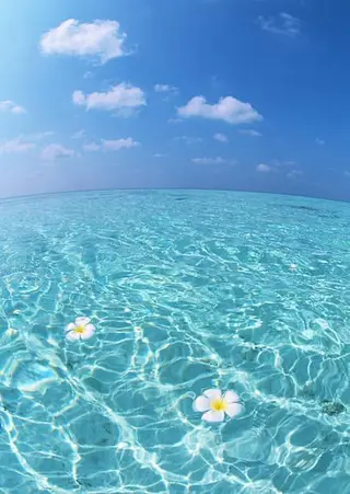 カラー パーマ 嘉手納美容室 ルアナエヴァのマツエク・マツパデザイン