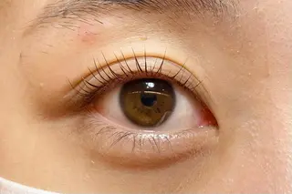 マツエク・マツパ sola: neolive出沼のマツエク・マツパデザイン