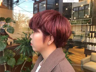 ショート カラー あらい なつみのヘアスタイル