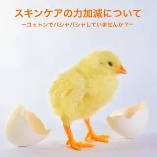 都度払い肌質改善 &脱毛Blancheのエステ・リラクイメージ