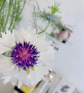 木場 ＊のマツエク・マツパデザイン