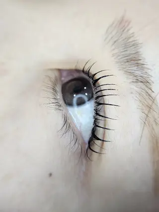 マツエク・マツパ Natural Eyebrow.Cのマツエク・マツパデザイン