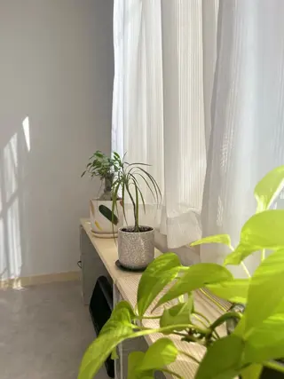 メンズ 【メンズ眉毛サロン】アカヌケボーイズクラブ｜三軒茶屋所属・メンズ専門眉毛サロン 三軒茶屋の眉毛・アイブロウイメージ