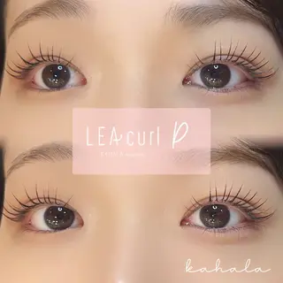 マツエク・マツパ Fujimoto 🦭⸝⋆꙳のマツエク・マツパデザイン