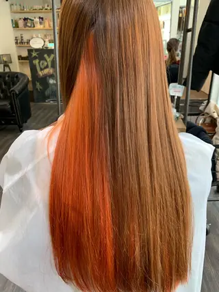 ロング 家田 竜のヘアスタイル