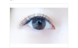 マツエク・マツパ Chouchou所属・🏅国際大会受賞 Chouchouのマツエク・マツパデザイン