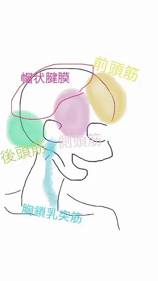 メンズ 松下 倫子のヘアスタイル