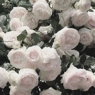 ネイル *Bianca国分寺 IGUCHI✮*｡ﾟのネイルデザイン