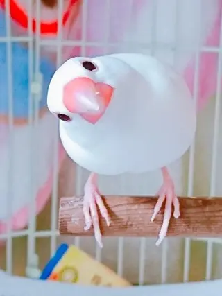 g*rossa高橋 くみこのエステ・リラクイメージ