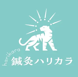 鍼灸HARIKARA所属・辛島 昴のエステ・リラクイメージ
