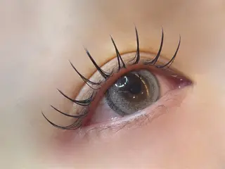 マツエク・マツパ 岡本葵子カットモデル ┊束感マツエクのマツエク・マツパデザイン